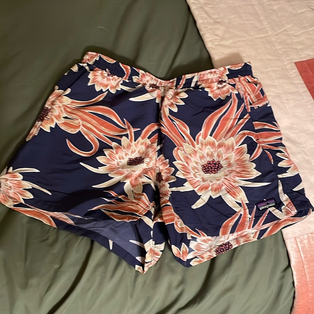 Patagonia baggies rare color